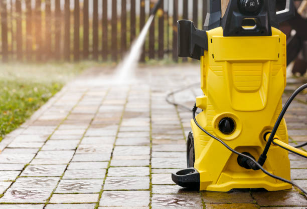 Best Roof Cleaning and Mildew Removal in Mustang Ridge, TX